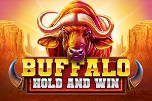 Buffalo Hold And Win at Musbet casino